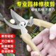 Stainless steel branch pruning shears for picking fruits, flowers and trees, garden fruit trees, flower branches, grafting, gardening scissors tools