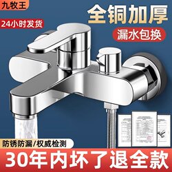 Jiumuwang Shower Mixing Valve Showerhead Bath Set Bathtub Water Heater Three-In-One Hot and Cold Spray Nozzle Faucet