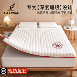 Lalpina Mattress Cover for Home Bedroom Mat, Student Dormitory Single Soft Mattress, Rental-Specific Mattress