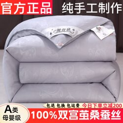 Authentic Silk Quilt 100% Mulberry Silk Quilt Core Spring and Autumn Double-Layer Quilt Class a Antibacterial Two-In-One Thickened Winter Quilt