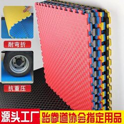 Taekwondo Floor Mat Dance Martial Arts Sanda Thickened Training Foam Mat for Kindergarten 1m X 1m
