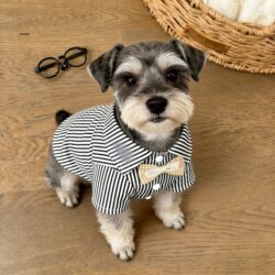 2026 New Model Pet Schnauzer-Specific Dog Clothes, Small Dog Shirts, Thin Spring and Summer Wear for Pets