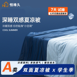 Hengyuanjiu High-End A-Class Double-Sided Cooling Antibacterial Air-Conditioning Quilt, Ice Silk Summer Quilt, Machine Washable Summer Quilt Core