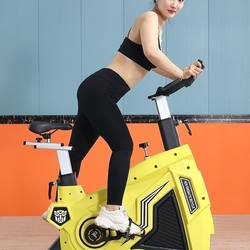 Dynamic Spinning Bike Hornet Commercial Gym Home Use Weight Loss Indoor Silent Exercise Bike Equipment Sports Bicycle