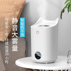 Humidifier for Home Use, Silent, Suitable for Air-Conditioned Rooms, Bedrooms, Antibacterial, Large Spray Capacity, Office Purification, Large Capacity Humidification