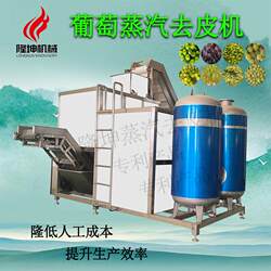 Grape steam peeling machine, fully automatic steam peeling equipment, pure physical peeling machine, food processing