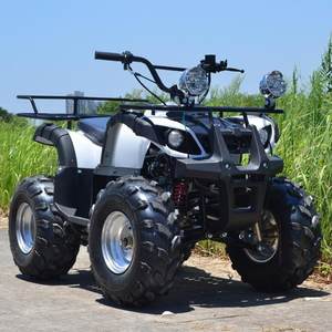 
Customized sports four-wheel motorcycles on demand, scenic desert ATVs, all-terrain karts, powerful