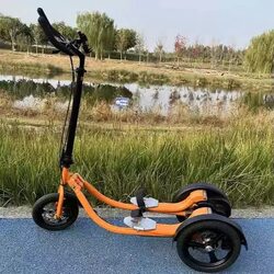 Fitness Stepper, Step Bike, Exercise Bike, Upright Bike, Fitness Adult Cycling Tricycle