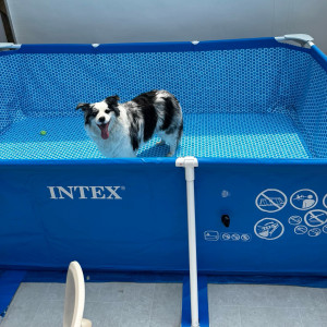 
Household inflatable outdoor folding thickened family bracket pool new portable large capacity children's swimming pool