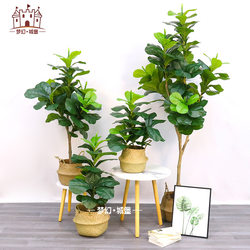 Simulation plant potted home decoration green plant Qin Ye Rong living room fake tree artificial plant decoration ornaments bonsai