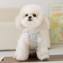 Spring and summer Teddy Bichon two-legged clothing pet clothing thin breathable striped skirt small dog cat dog clothing