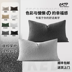 Modern Minimalist Cushion Backrest for Car, Living Room Sofa, Pillowcase for Bed Headboard, Office Blended Large Cushion