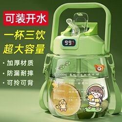 Adult Water Cup, Large Capacity, High Temperature Resistant Plastic Cup, Girls' Big Belly Cup, 2000ml Water Bottle, Boys' Sports Water Bottle