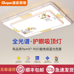 2026 New Model Led Ceiling Light for Room, Bedroom, Living Room, Hall, Modern Simple and Elegant Zhongshan Lighting Fixtures