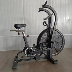 Exercise Bike with Fan, Wind Resistance Bike, Silent Pedal Cardio Exercise Equipment for Gym