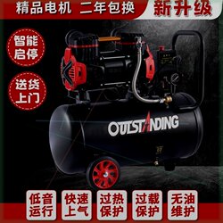 Otus Oil-Free Air Compressor Small Air Compressor Inflatable Oil-Free Silent 220V Woodworking Spray Paint Air Pump