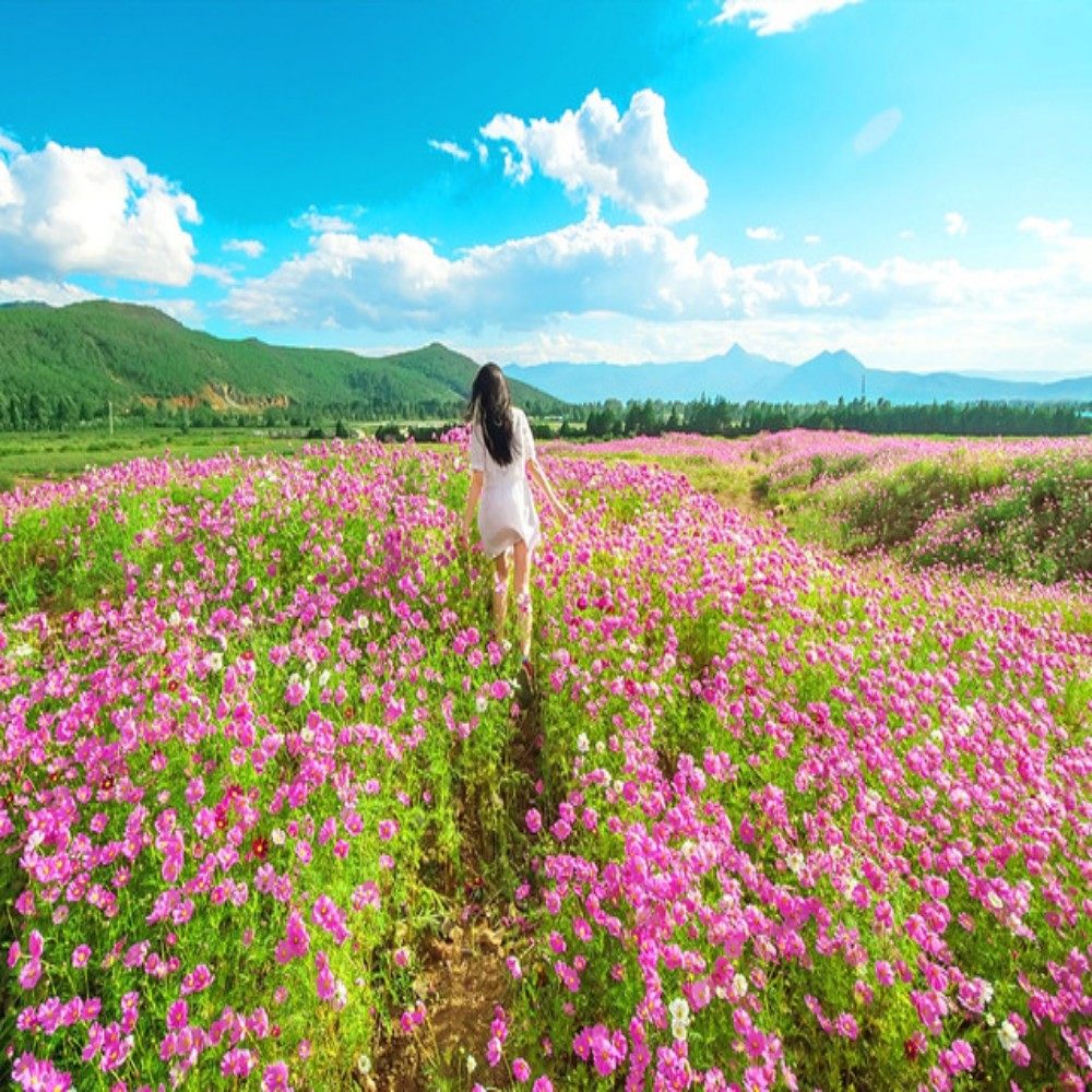 【8人小团】丽江+大理5日深度纯玩,湖景房+送骑马观光+旅拍