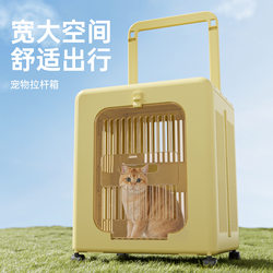 Foldable Pet Trolley Box, Cat Carrier for Outings, Breathable Airline Box, Dog Pet Supplies