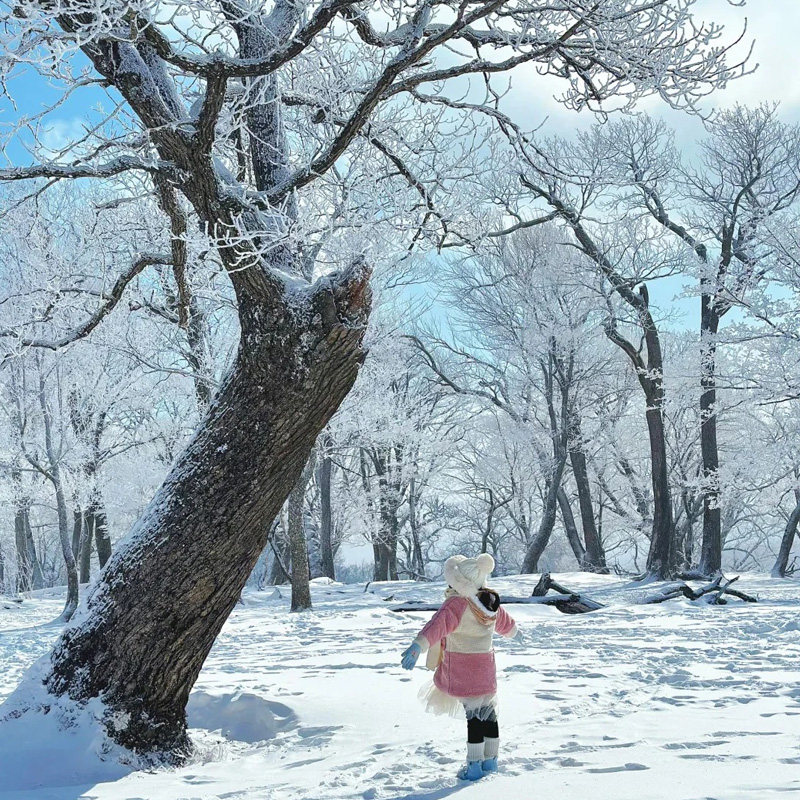 冰雪游&8人纯玩团 丨承德乌兰布统冰雪穿越+木兰围场骑马 5天4晚