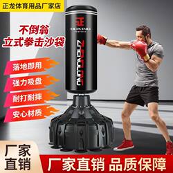 Standing Boxing Punching Bag for Home Use, Adult Fitness Sandbag, Home-Use Standing Punching Bag, Taekwondo Fitness Training Equipment