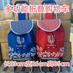 Shopping Cart for Groceries, Small Shopping Cart for Home Use, Folding Cart for Elderly People to Buy Groceries