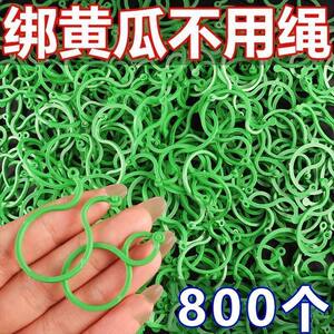 Cucumber, tomato, beans, crawling, 8-character clipping, green plants, vegetables, vines, special fixing, clamping, tying machine

