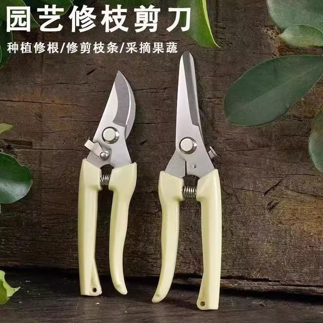 Gardening shears, pruning shears, flower shears, garden shears, floral shears, branches, fruit tree scissors, branch shears, flower scissors.