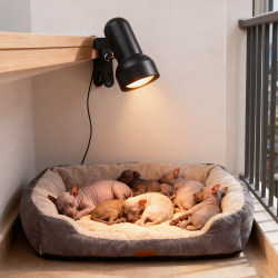 Special heating lamp for cats, pet winter insulation lamp, newborn kitten heating lamp, winter artifact, constant temperature small sun