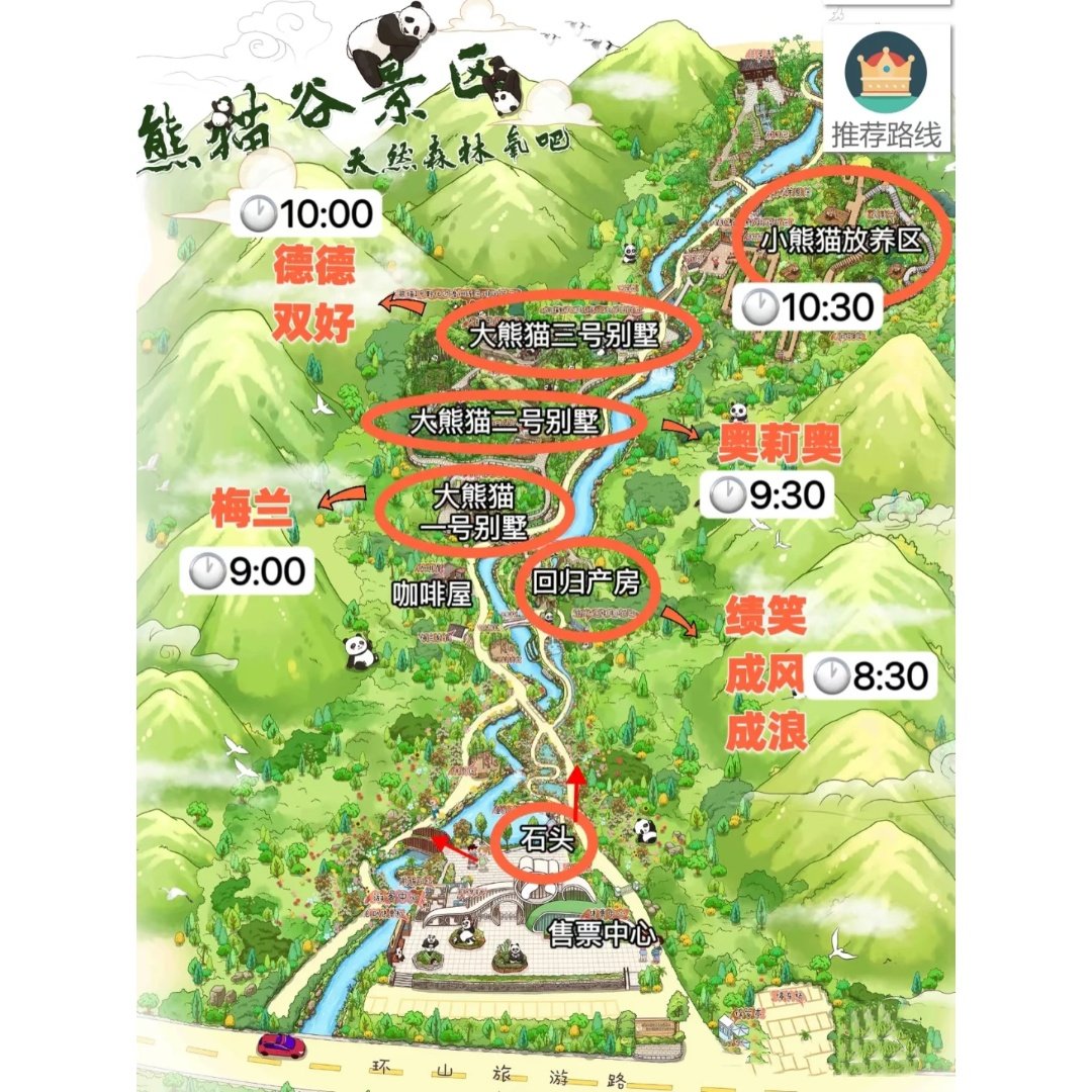 熊猫谷都江堰南桥夜景1日游含讲解仰天窝灌县古城钟书阁2-8人