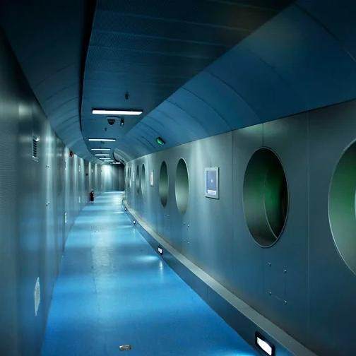 白鹤梁水下博物馆/816工程景区/乌江画廊(涪陵段)一日游&2-8人