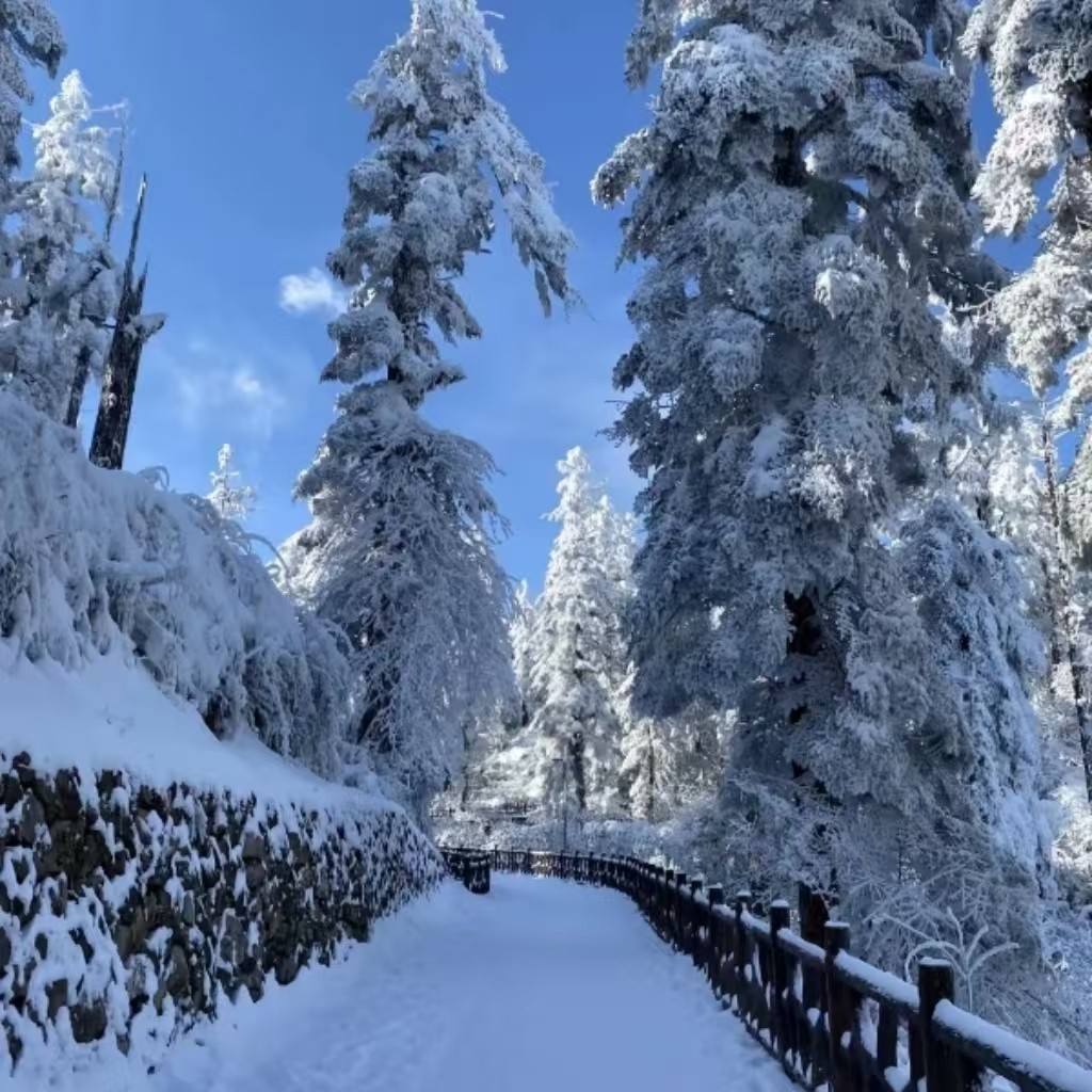 瓦屋山一日游&包车游带司机&独立出行&三环内接送