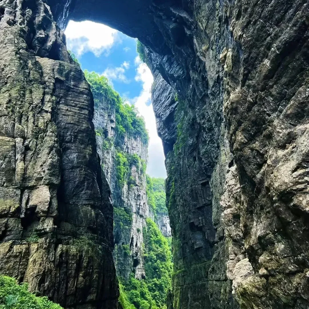 武隆天坑地缝+乌江画廊打卡1日跟团【8人小团&含门票&含电梯】
