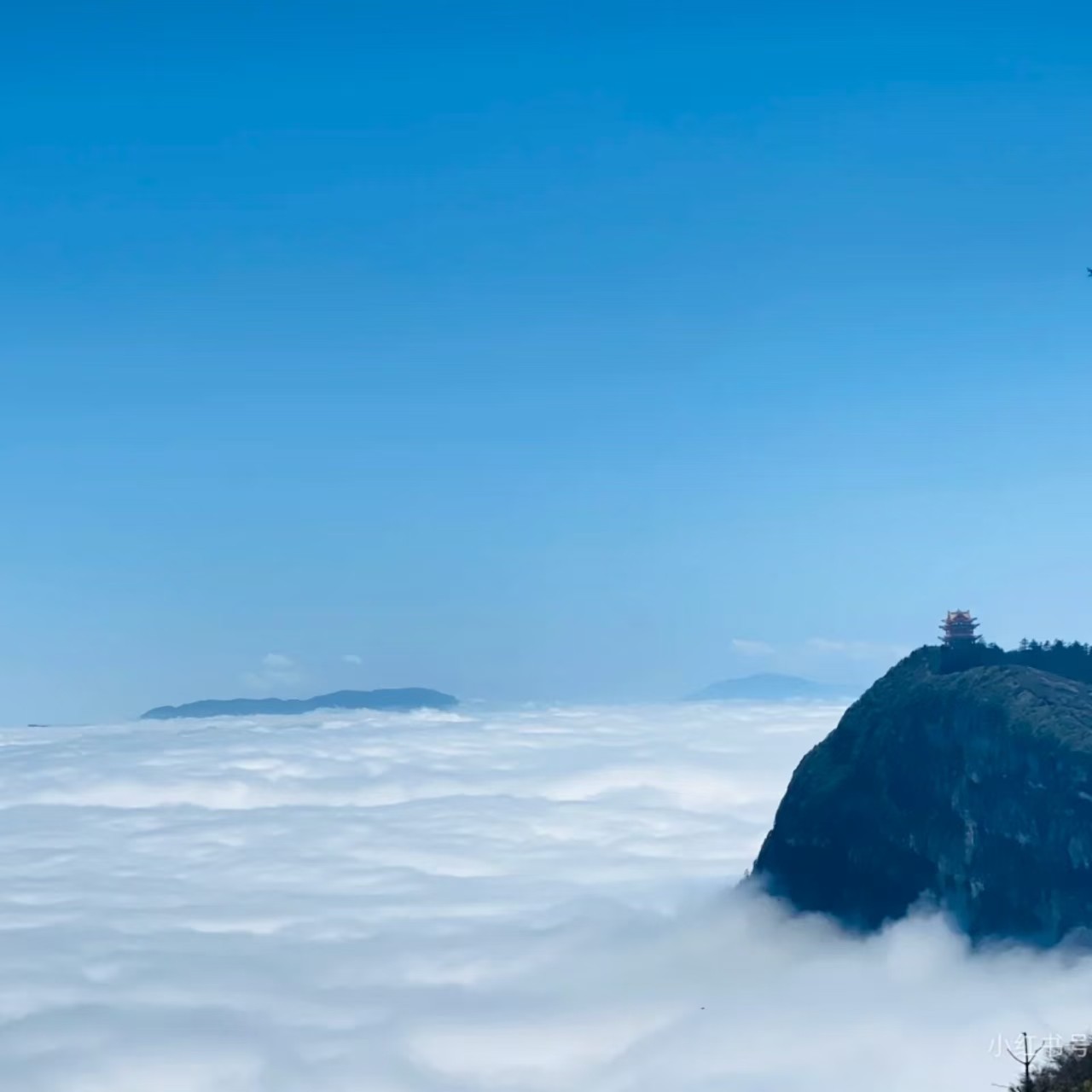 峨眉山一日游*尊享私家团&不拼车&无猫腻&含景区门票