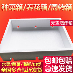 Flat Box, Breathable, Lidless Foam Box, Shrimp, Strawberry, Seafood Transport Box, Vegetable Growing Box, Flower Growing Box, Vegetable Transfer Box