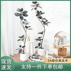 Black Diamond Rubber Tree Artificial Green Plant High-End Light Luxury Living Room Decoration Large Floor-Standing Green Leaf Banyan Artificial Plant