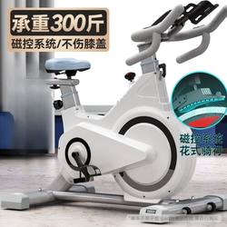 Dynamic Bicycle Magnetically Controlled Silent Gym Special Pedal Adult Indoor Home Weight Loss Equipment Sports Fitness Bike