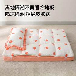 Dog Bed for All Seasons, Removable and Washable, Multifunctional Summer Sleeping Mat, Large Size Pet Mattress, Cooling and Moisture-Proof Bed