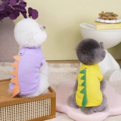 Dog Clothes Spring and Summer Thin Style Dinosaur Vest Funny Transformation Outfit Cat Teddy Bichon Pet Clothes with Leash Attachment