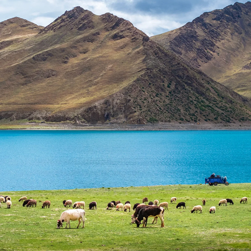 西藏旅游跟团羊卓雍措羊湖一日游日托寺4人越野团单反无人机旅拍