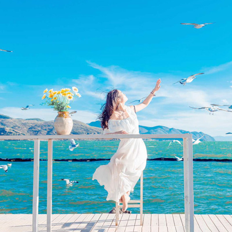 一价全含0自费 |云南旅游6天5晚纯玩昆明大理丽江动车返昆2+1用车