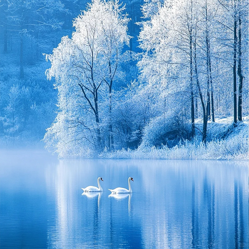 2-6人mini小团 | 新疆旅游7天6晚纯玩伊犁库尔德宁赛里木湖独山子