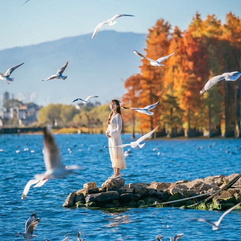 8人mini小团 | 5天0购物云南旅游大理丽江玉龙雪山洱海古城赠旅拍