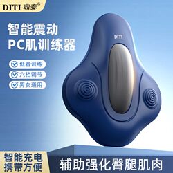 Dingtai Rechargeable Kegel Trainer Electric Pc Muscle Trainer for Men and Women Home Use Waist, Hip, and Pelvic Floor Exercise Aid