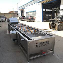 Vegetable cleaning equipment, radish and fruit cleaning machine, can be used for fruit and vegetable cleaning, food processing equipment