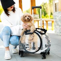 Pet Trolley Box, Portable Multi-Purpose Pet Backpack, Large-Capacity Pet Flight Box, Transparent Cat Bag