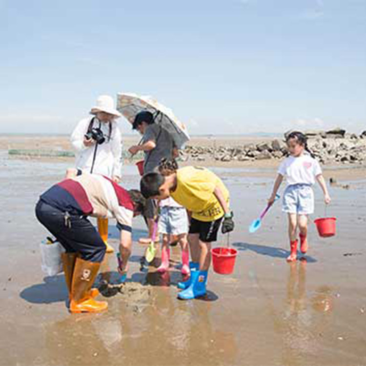 厦门小嶝岛亲子赶海一日游抓螃蟹当地海鲜餐可选独立团加帆船出海