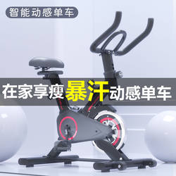 Intelligent Spinning Bike Home Indoor Exercise Bike Luxury Gym Equipment Weight Loss Ultra-Quiet Sports Bike