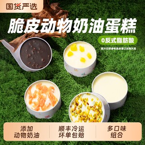 
5 cans of Bear Cake Jar Cake Animal Cream Jar Jar Dessert Snack Box Chocolate Handmade Cheese Pistachio