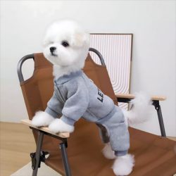 Dog Clothes Four-Legged Autumn and Winter Bichon Teddy Small Dog Fleece Dynamic Sweatshirt with Leash Pet Clothing Winter