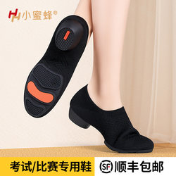 Professional Flower Ball Flying Woven Fabric Dance Shoes for Women, Adult Teacher Practice Shoes, Soft-Soled Ballet Dance Shoes, Gymnastics Shoes